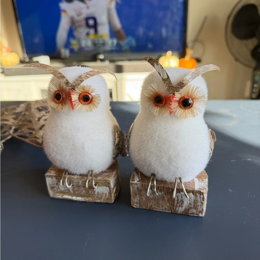 Two‎ Decorative Shimmering White Owl and Ornaments